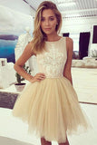 Find Sleeveless Lace Tulle Short Prom Dress Homecoming Dress,PH323 at promnova.com