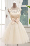 Lace Short  Scoop Ball Gown Sleeveless Bowknot Open Back Homecoming Dresses PH345