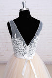 Tulle V-neck See through Bodice Wedding Dresses with Chapel Train, PW156